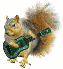 squirrel ukulele