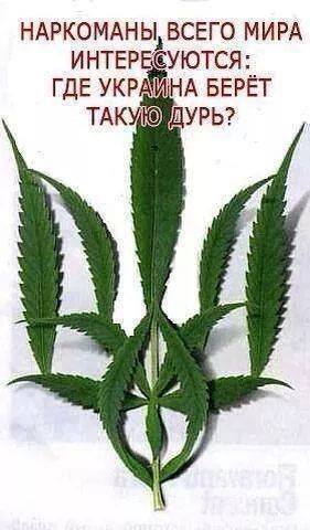 Дурь