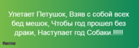 G1CCNTp2