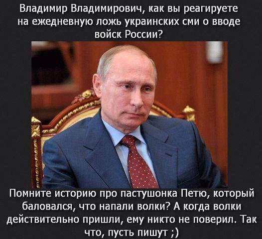 волки