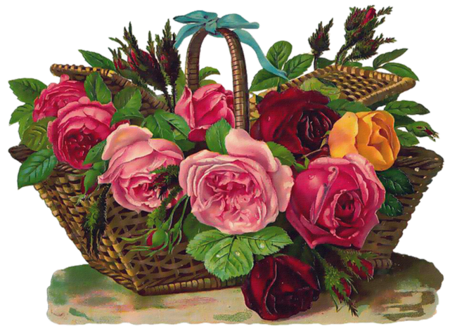 flowers6