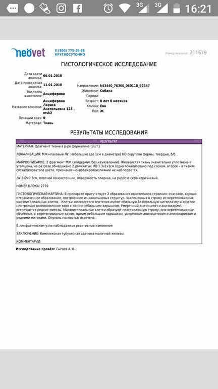 VFL.RU - ваш фотохостинг