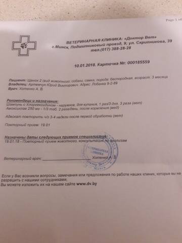 VFL.RU - ваш фотохостинг