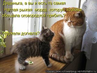 original (1)
