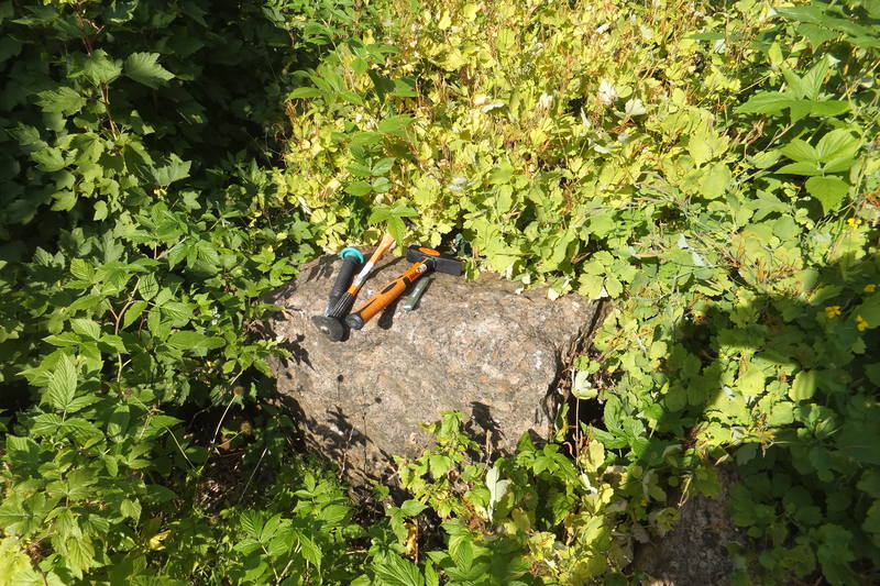 DSCF7194 — копия