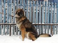 VFL.RU - ваш фотохостинг
