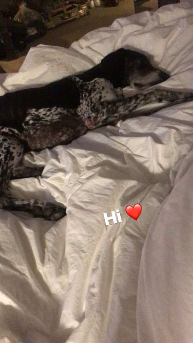 Bill's IG-Story #1 (18.01.18)