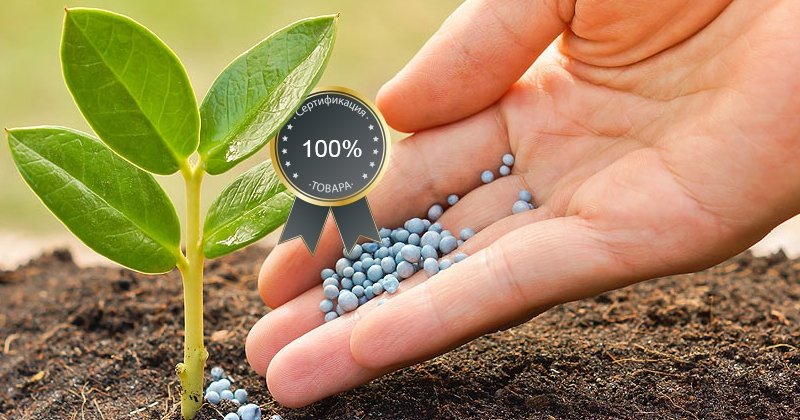  Компания AgroXiм -  семена подсолнечника, гербициды, стимуляторы роста
 
