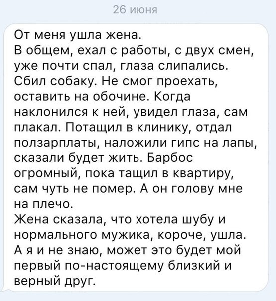 image (45)