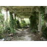Gagra-Pavilon-Staraya[1]