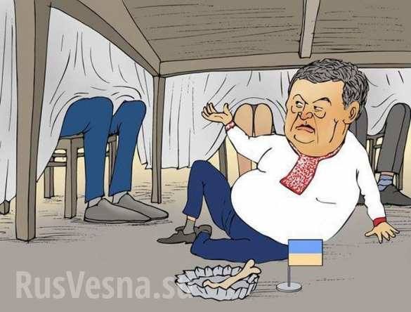 poroshenko karikatura