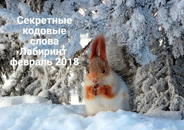 секртеные кодовые слова лабиринт февраль 2018