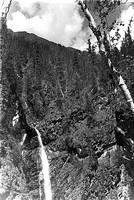 АЭРОГЕОЛОГИЧЕСКАЯ ЭКСПЕДИЦИЯ АЛТАЙ-СИБИРЬ 1947-1950 гг 0045