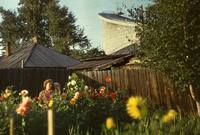 VFL.RU - ваш фотохостинг