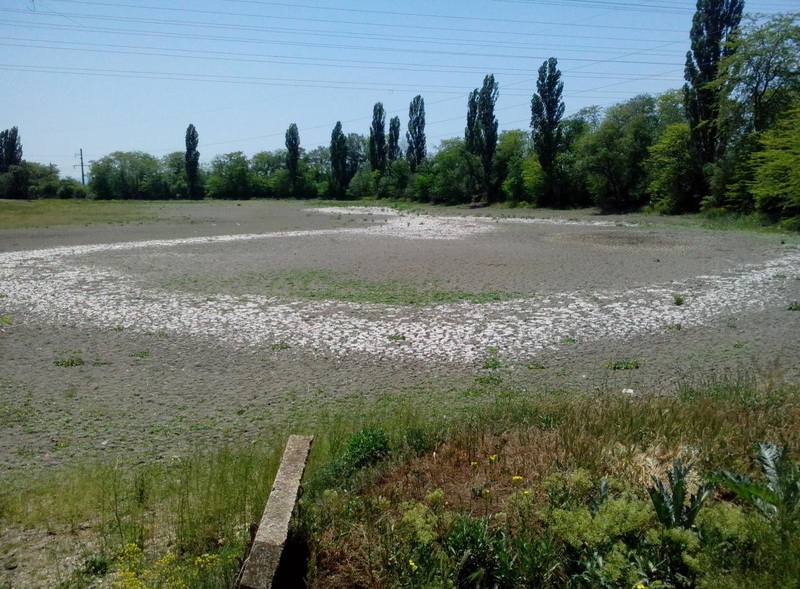 Синоптик крым село. Фрунзе Нижнегорский Крым. Нижнегорский район Крым с Фрунзе 1998. Село Фрунзе Нижнегорский район Крым дом культуры. Крым Нижнегорский район село косточковое.