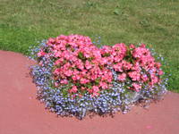 VFL.RU - ваш фотохостинг