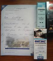 VFL.RU - ваш фотохостинг