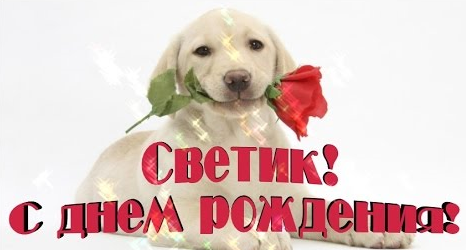 20684611_m.png