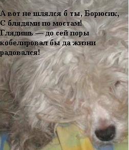НЕМЦОВ