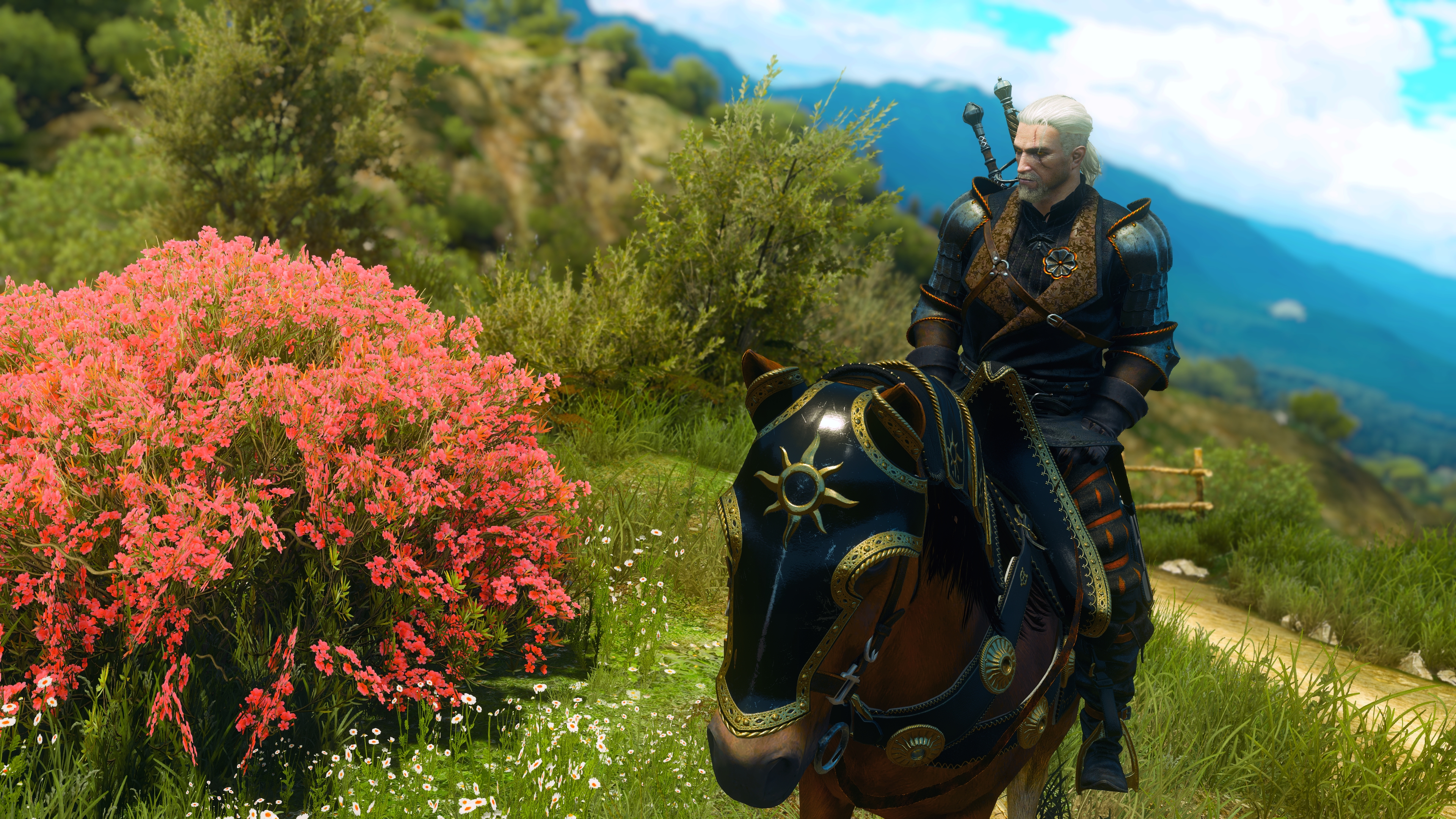 The Witcher 3 Super-Resolution 2018.02.26 - 14.55.09.31