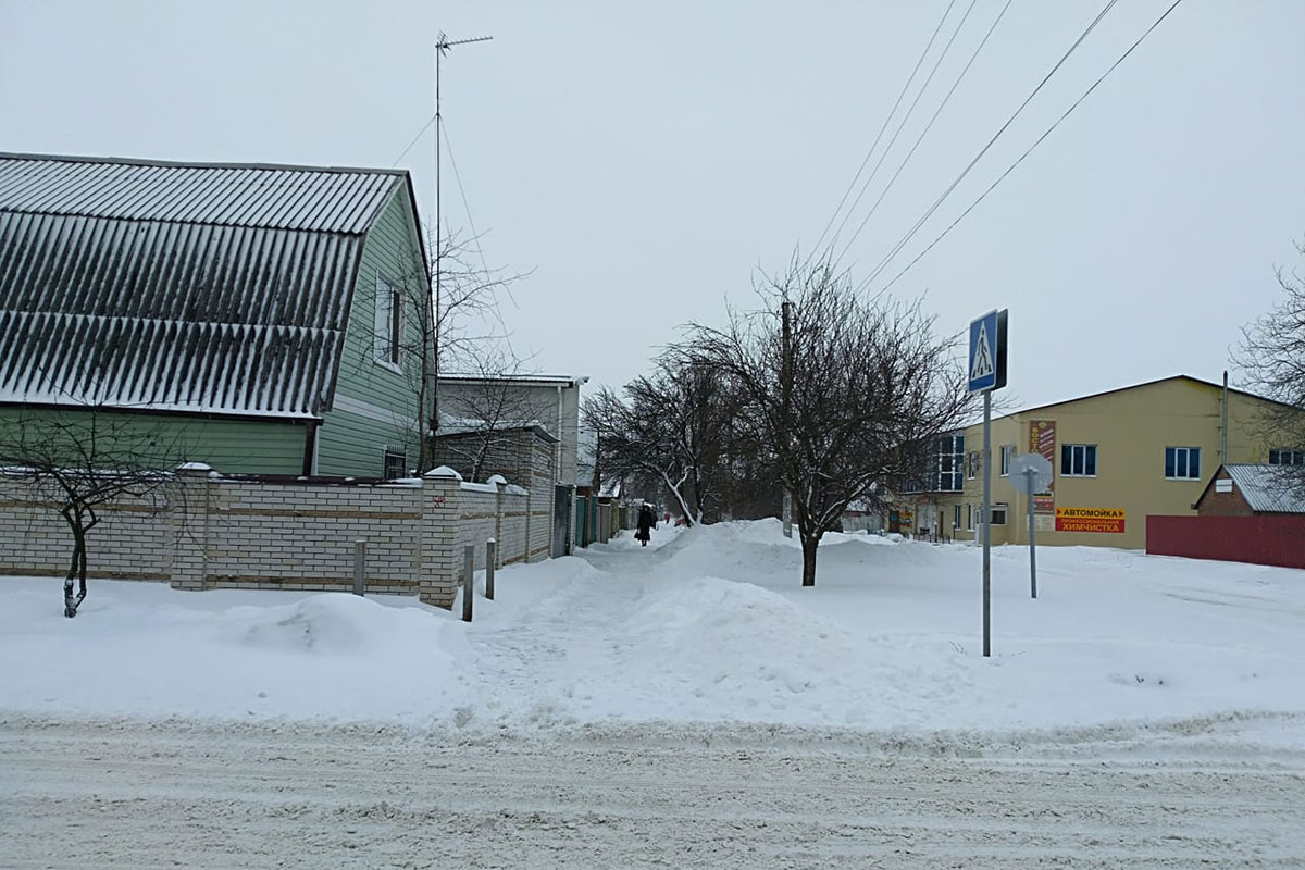zima