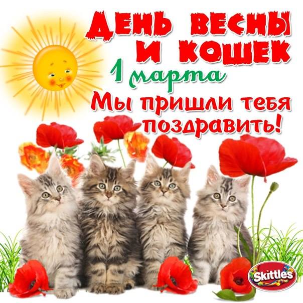 Поздравление С Днем Кошек Картинки
