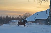 VFL.RU - ваш фотохостинг