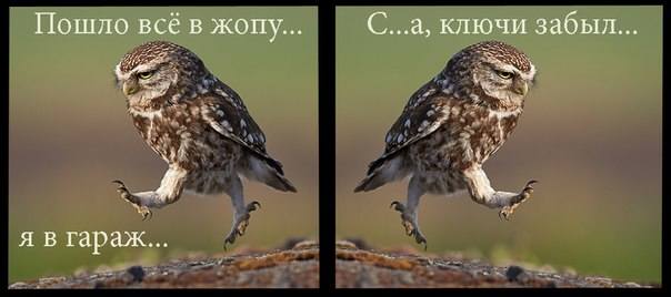 VFL.RU - ваш фотохостинг