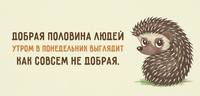 VFL.RU - ваш фотохостинг