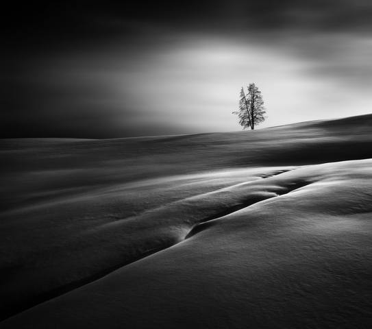 4. Одиночество и тишина проникают в черно-белые снимки Хоу. На фото - Национальный парк Йеллоустоун зимой.