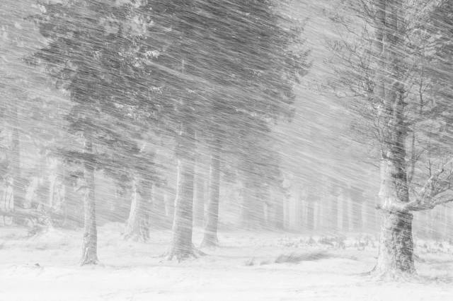8. Румынский фотограф Космин Стэн выиграл награду за лучших «снежный» снимок. На фото Национальный парк Чюкауз в Румынии.