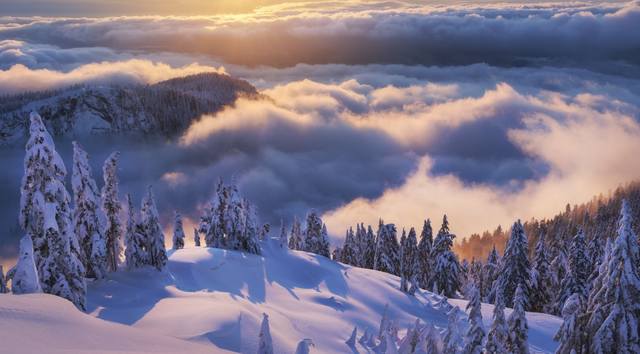 12. Здесь он показывает захватывающий вид гор из-за облаков. Провинциальный парк Сеймур в Британской Колумбии.