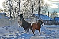 VFL.RU - ваш фотохостинг