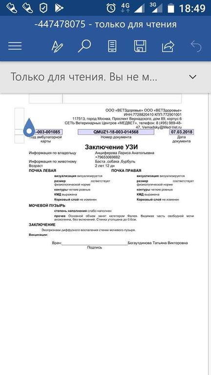 VFL.RU - ваш фотохостинг