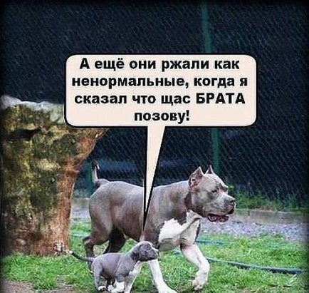 брат