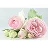 rozy cvety buket lezhat 2048x1400
