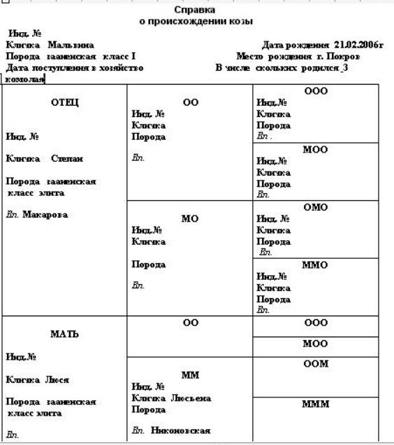 Мальвина род юля 2009