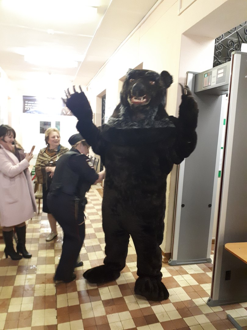 выборы медведь