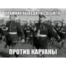 Без названия