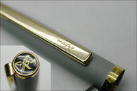 SAM 3151Nsm Reform