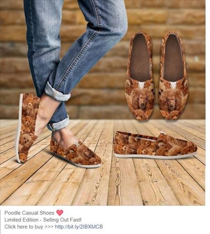 Poodle shoses