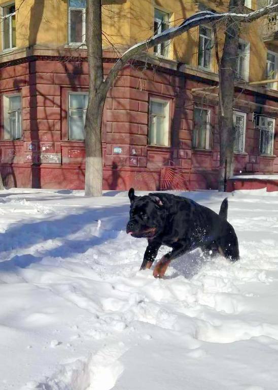 оо