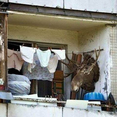 VFL.RU - ваш фотохостинг