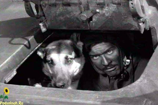 VFL.RU - ваш фотохостинг