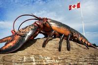 Shediac-Lobster1