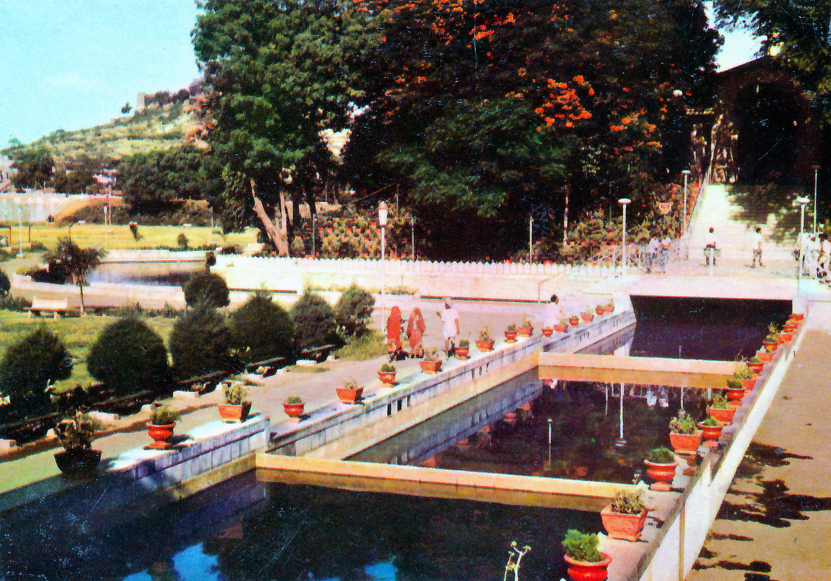 Городской парк 0011