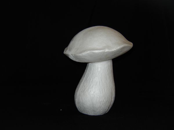 229 23adcborovik neokr