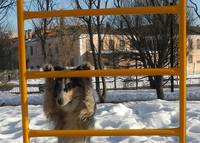 VFL.RU - ваш фотохостинг
