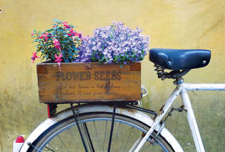 Rower-kwiaty