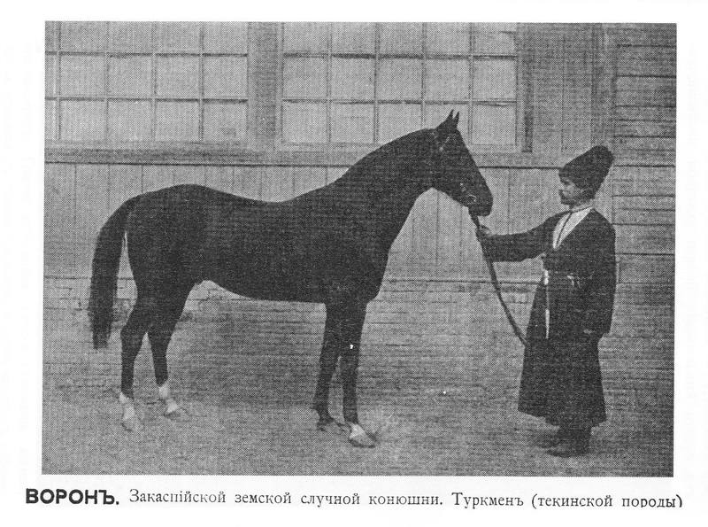 ворон